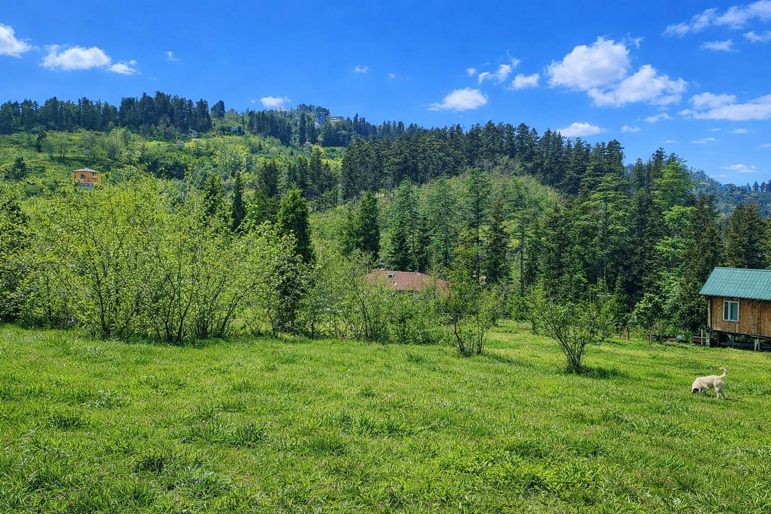 Land For Sale In Chakvi, 3,464 M² For $138,560 view 3