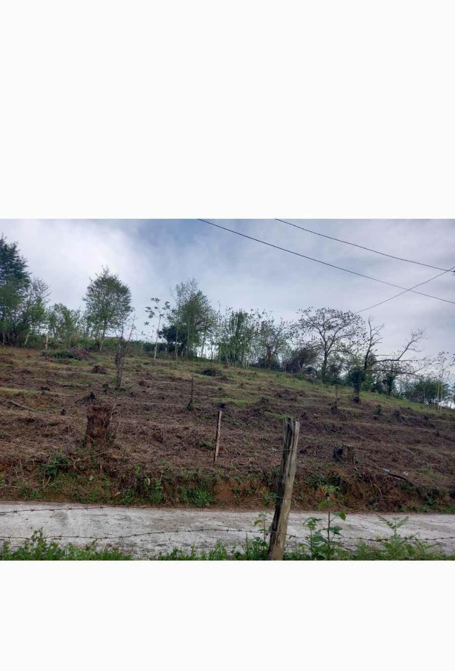 Land For Sale In Batumi, 3,000 M² For $210,000 view 3