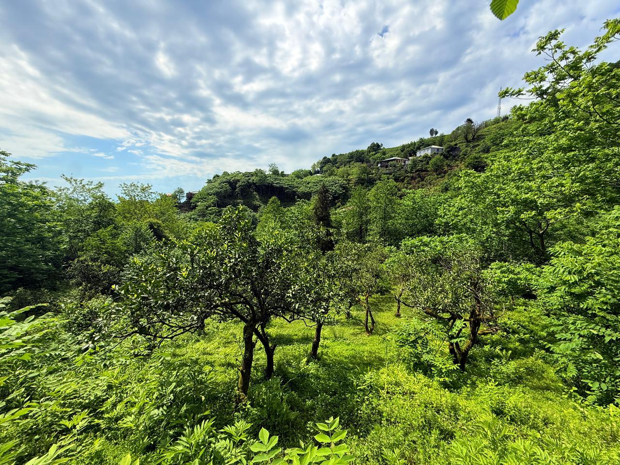 Land For Sale In Batumi, 6,240 M² For $312,000 view 3