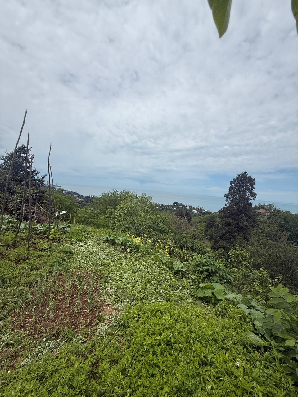 Land For Sale In Batumi, 1,000 M² For $140,000 view 1