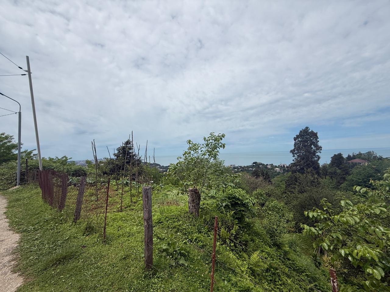 Land For Sale In Batumi, 1,000 M² For $140,000 view 3