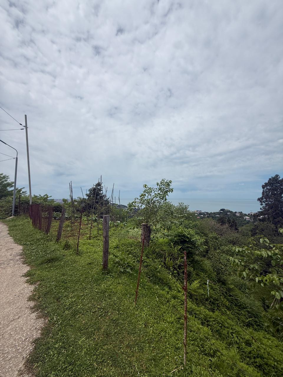Land For Sale In Batumi, 1,000 M² For $140,000 view 5
