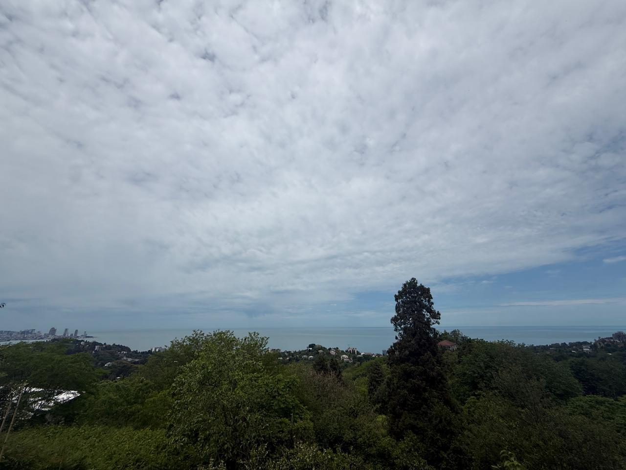Land For Sale In Batumi, 1,000 M² For $140,000 view 6