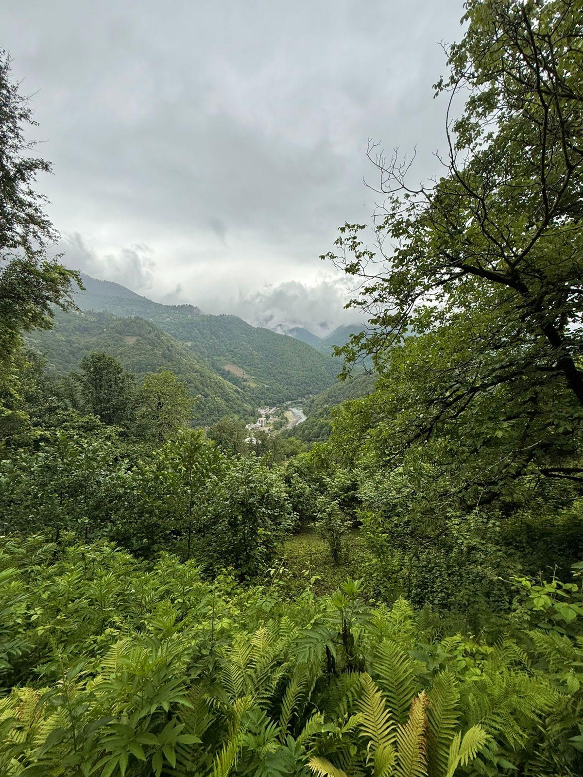 Land For Sale In Batumi, 3,224 M² For $80,600 view 1