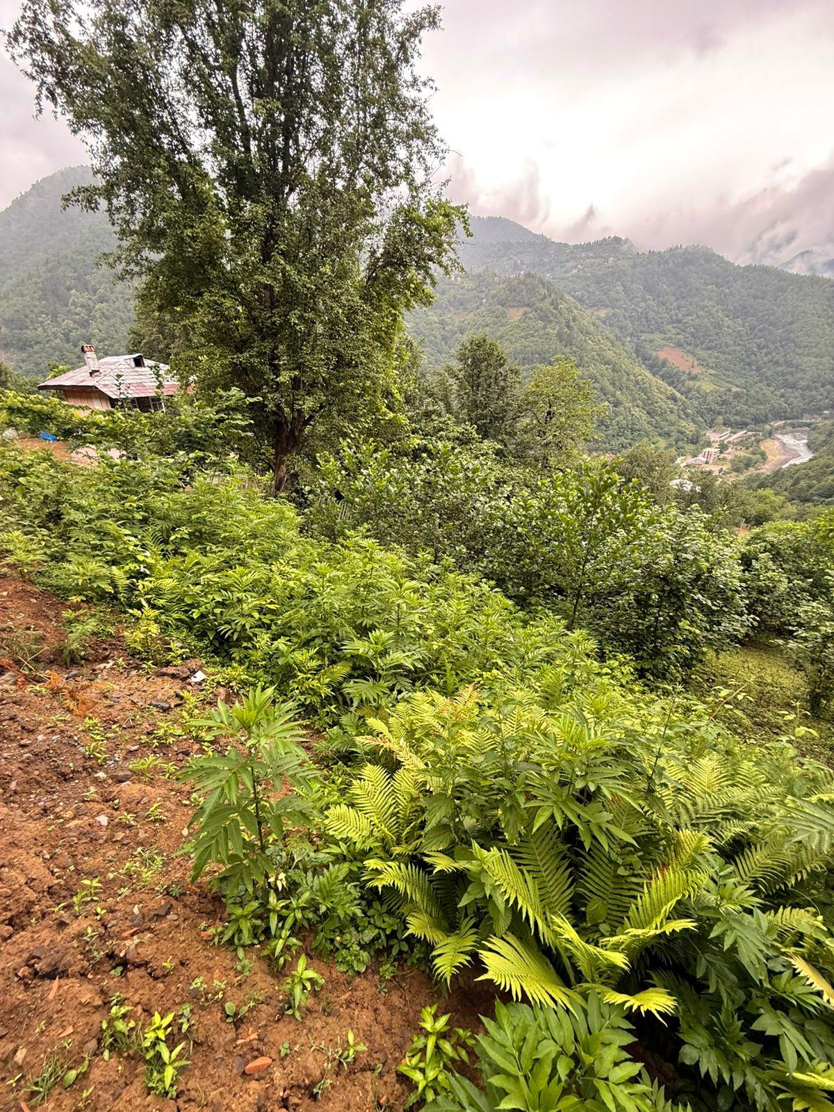 Land For Sale In Batumi, 3,224 M² For $80,600 view 3
