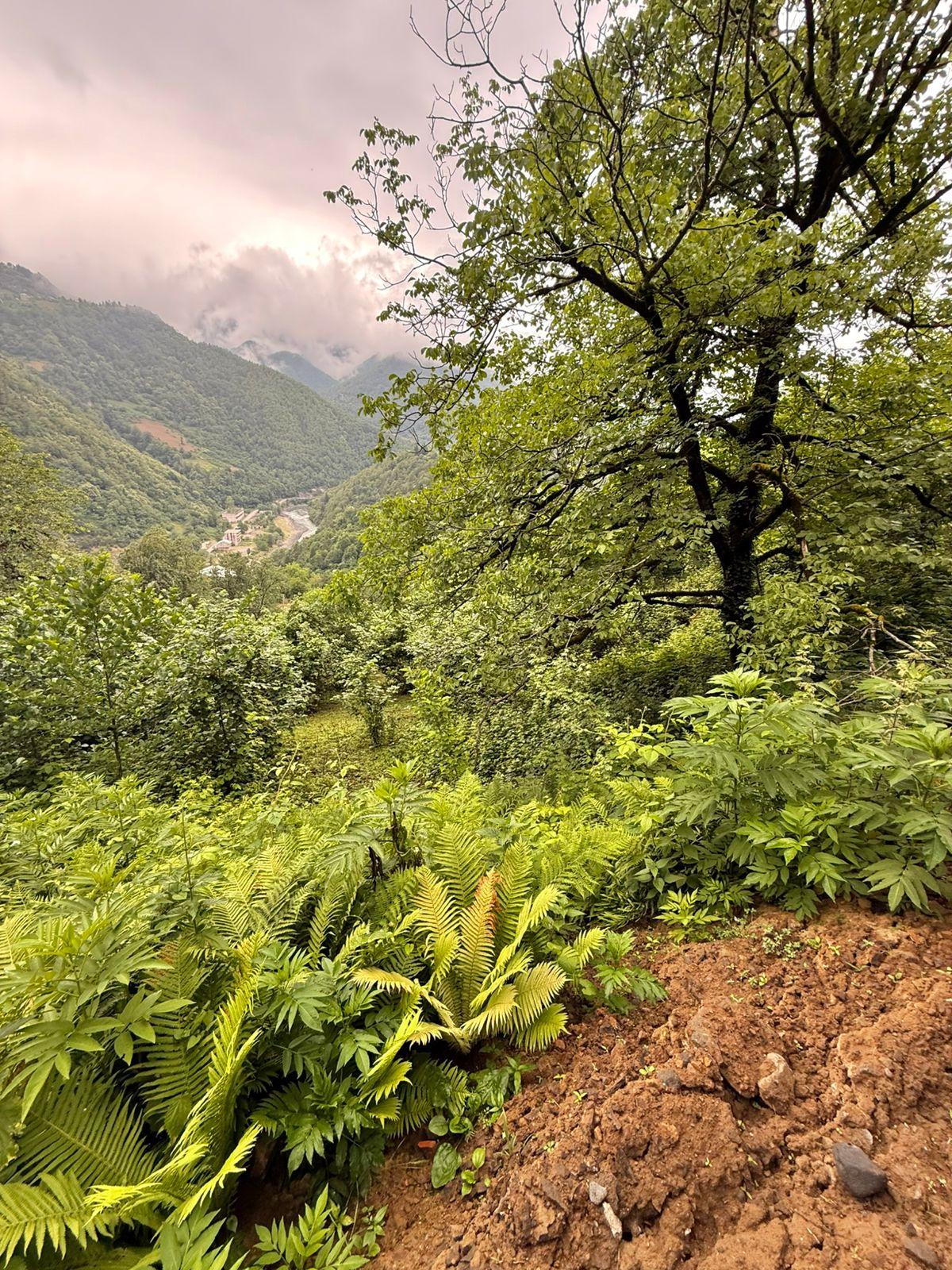 Land For Sale In Batumi, 3,224 M² For $80,600 view 2