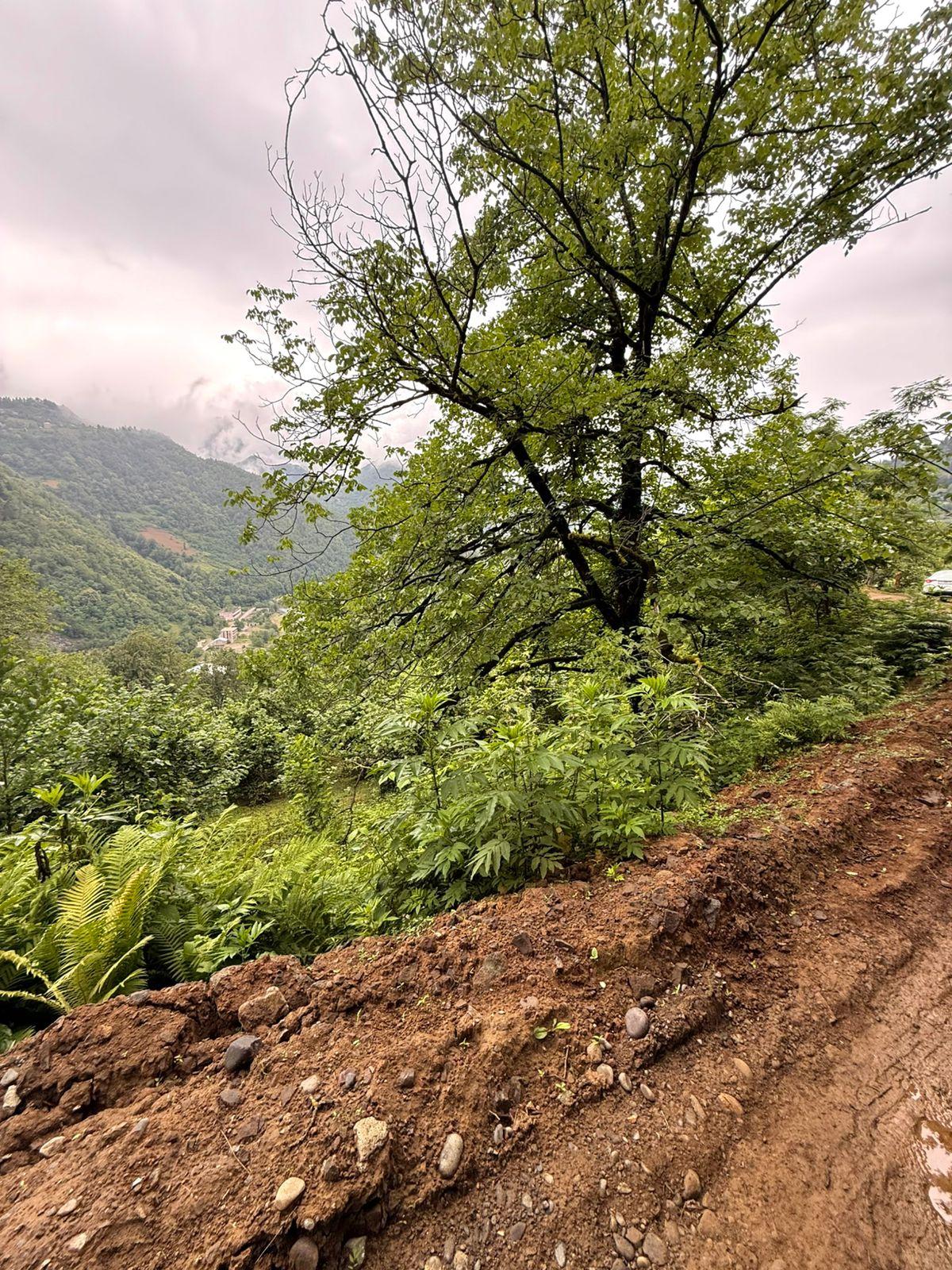 Land For Sale In Batumi, 3,224 M² For $80,600 view 6
