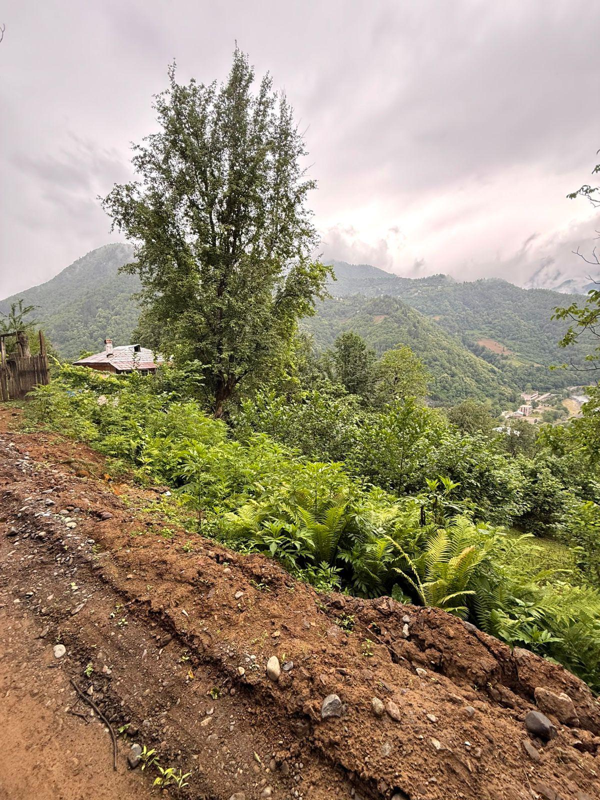 Land For Sale In Batumi, 3,224 M² For $80,600 view 7