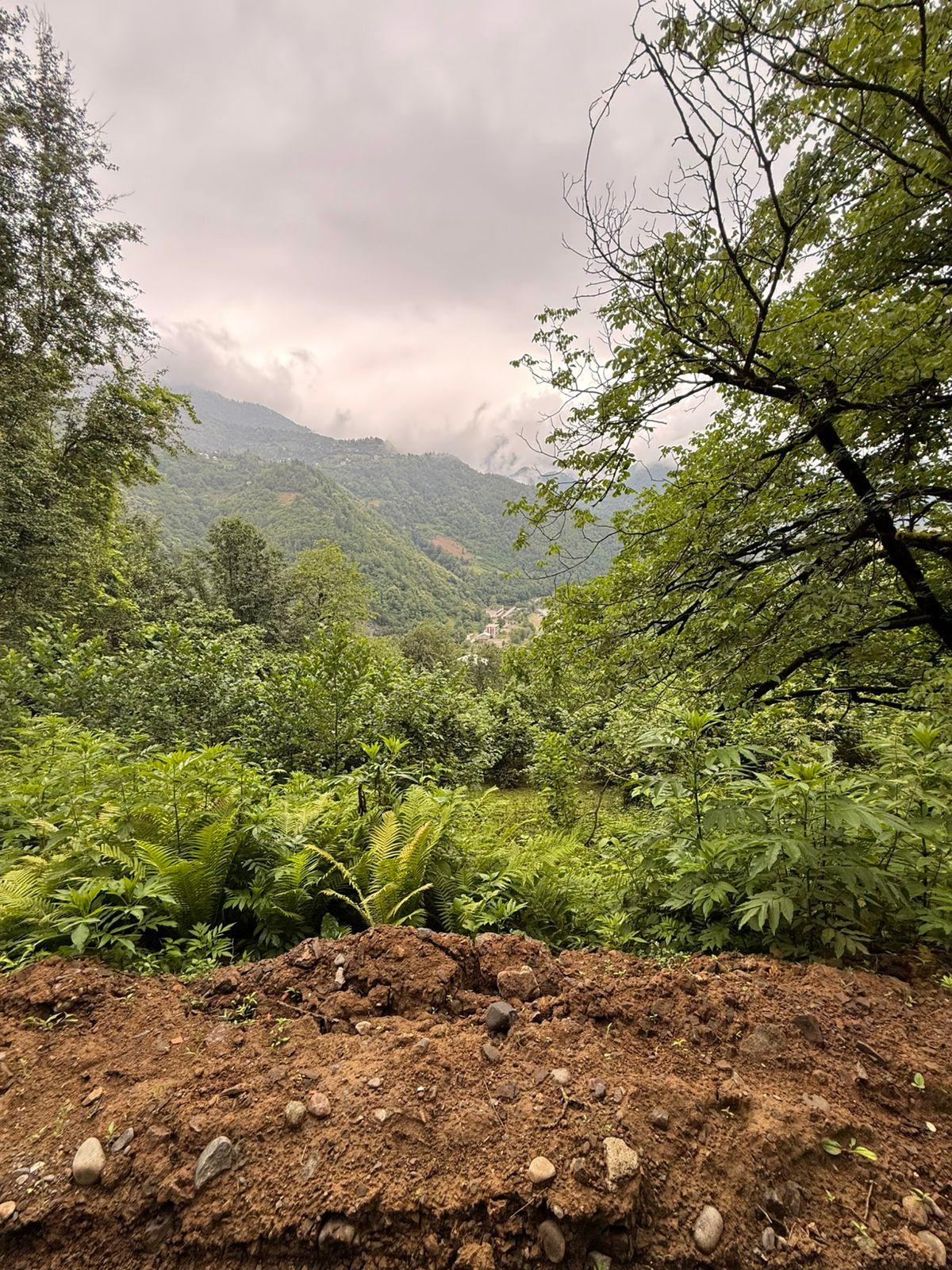Land For Sale In Batumi, 3,224 M² For $80,600 view 8
