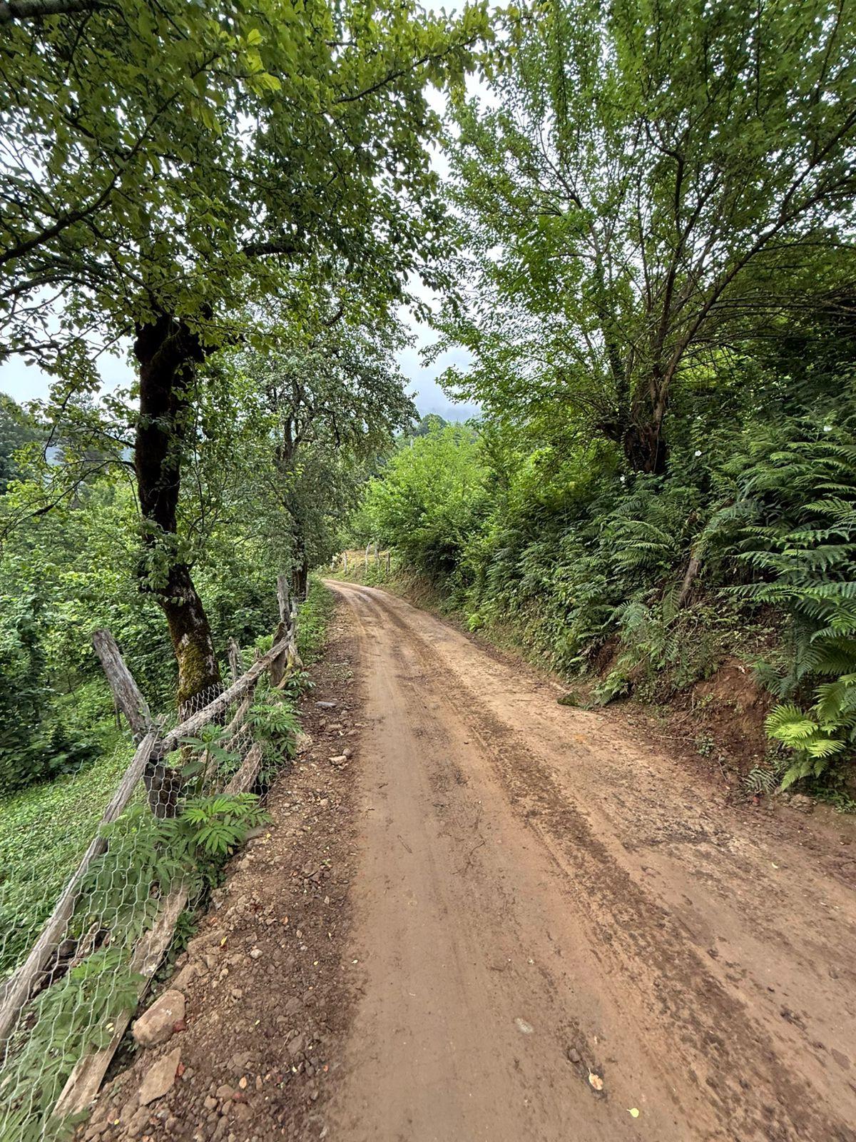 Land For Sale In Batumi, 3,224 M² For $80,600 view 11