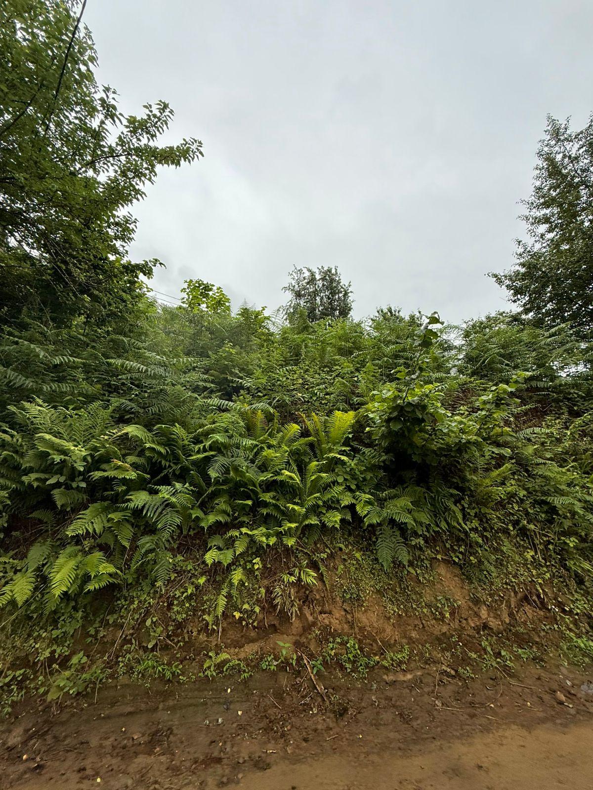 Land For Sale In Batumi, 3,224 M² For $80,600 view 13