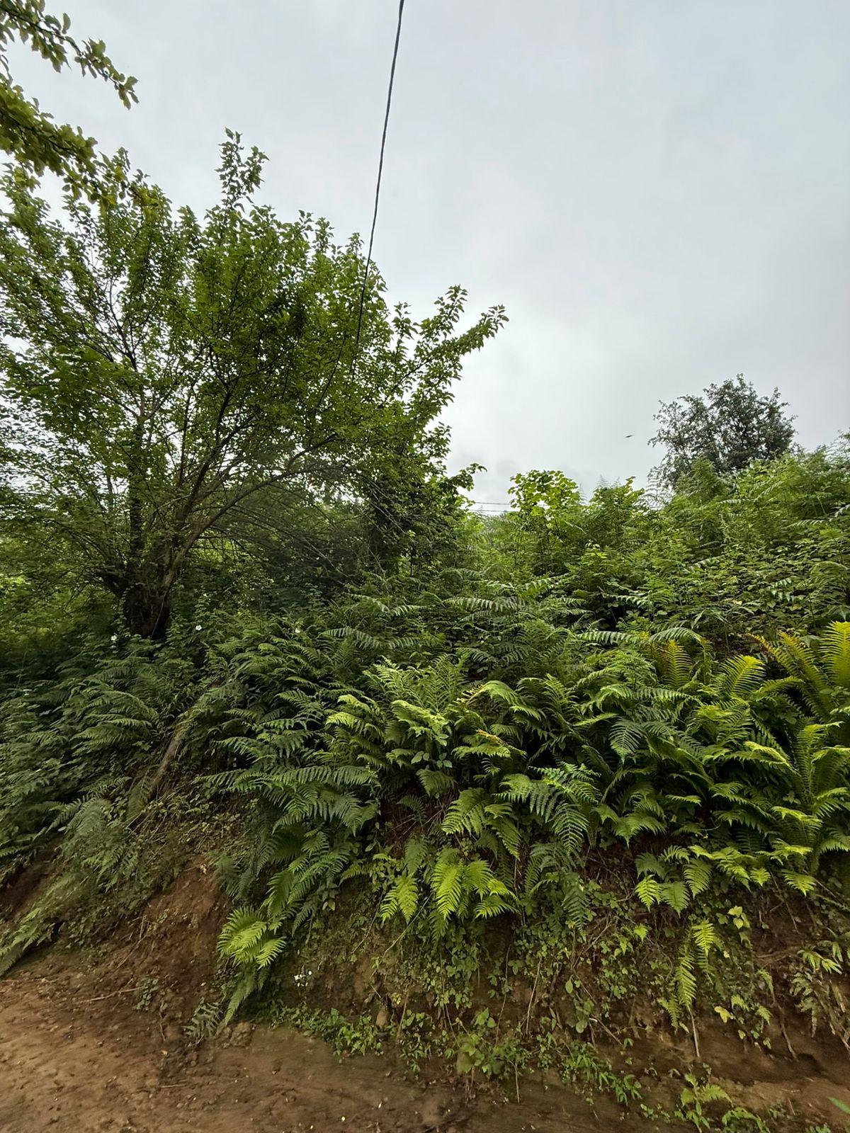 Land For Sale In Batumi, 3,224 M² For $80,600 view 12
