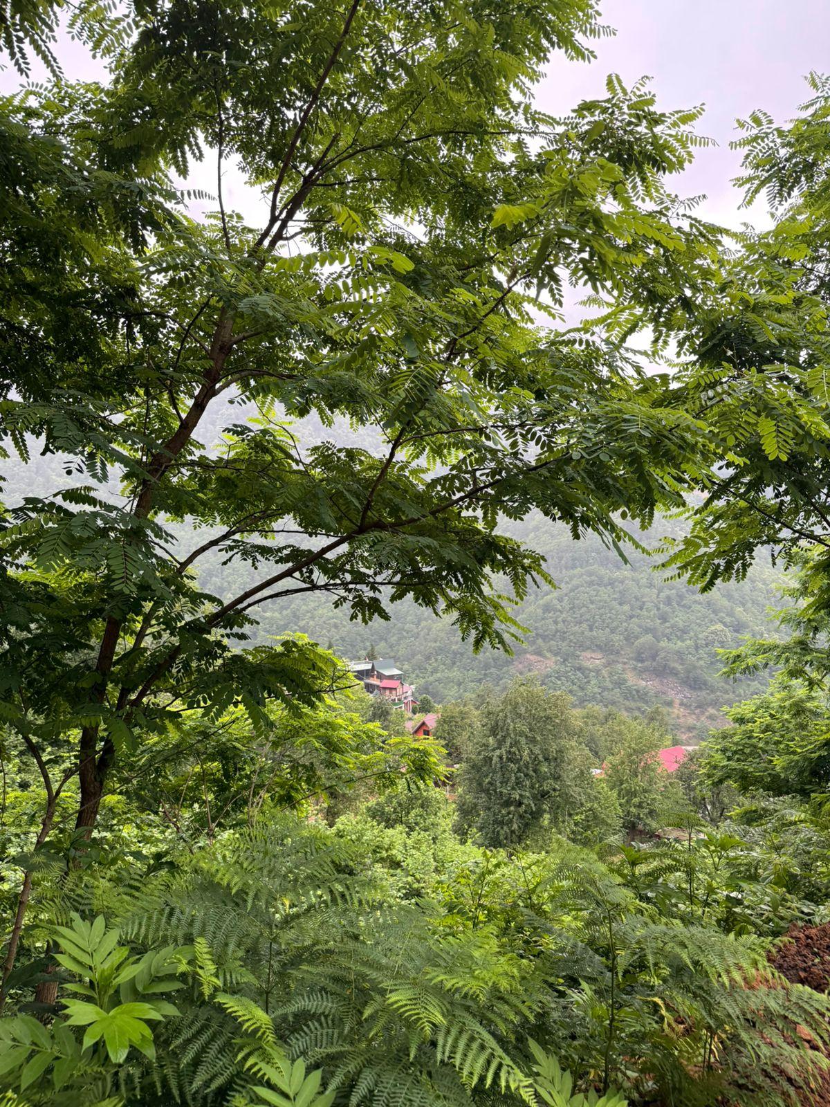 Land For Sale In Batumi, 3,224 M² For $80,600 view 15