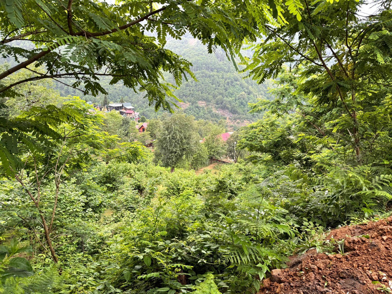 Land For Sale In Batumi, 3,224 M² For $80,600 view 16