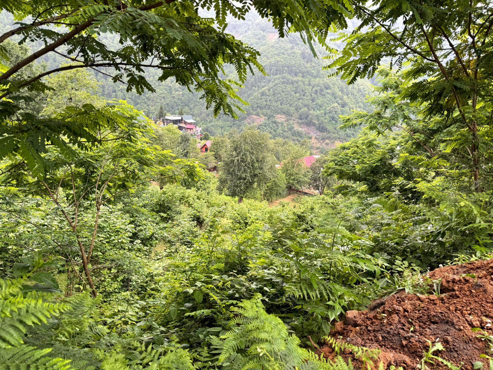 Land For Sale In Batumi, 3,224 M² For $80,600 view 20
