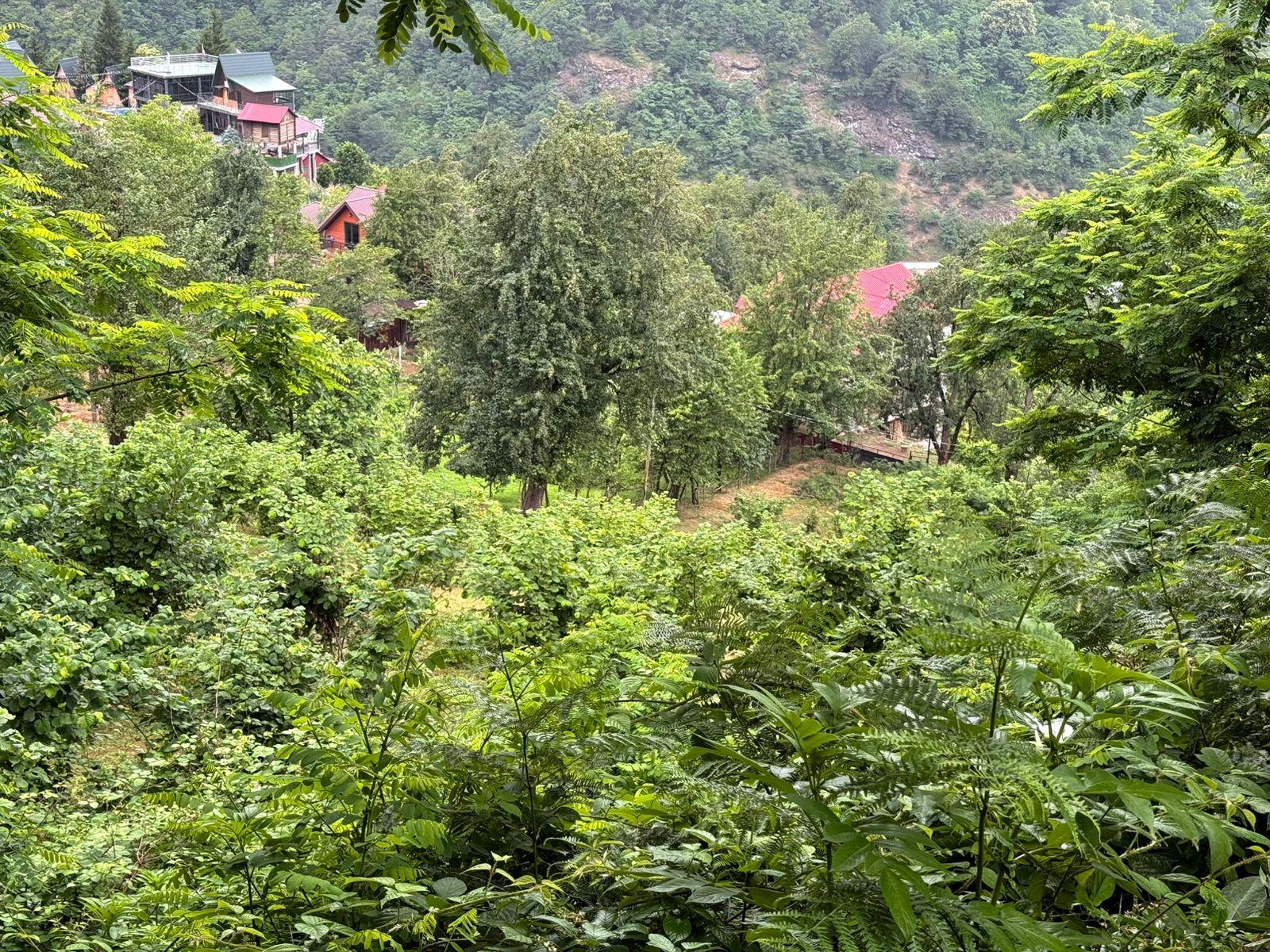 Land For Sale In Batumi, 3,224 M² For $80,600 view 19