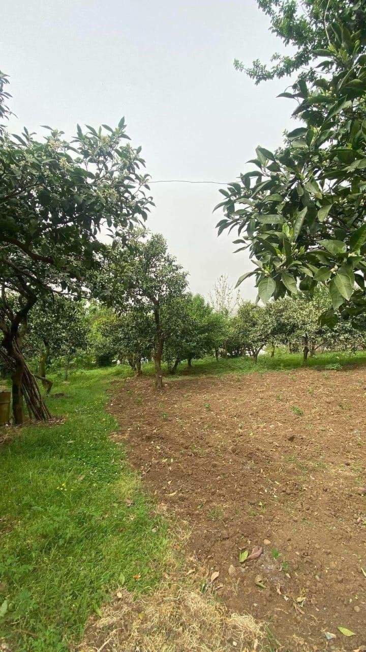 Land For Sale In Batumi, 2,502 M² For $300,240 view 1