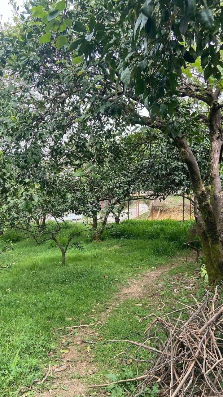 Land For Sale In Batumi, 2,502 M² For $300,240 view 2