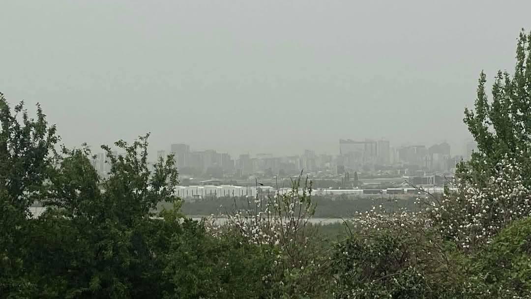 Land For Sale In Batumi, 2,502 M² For $300,240 view 5