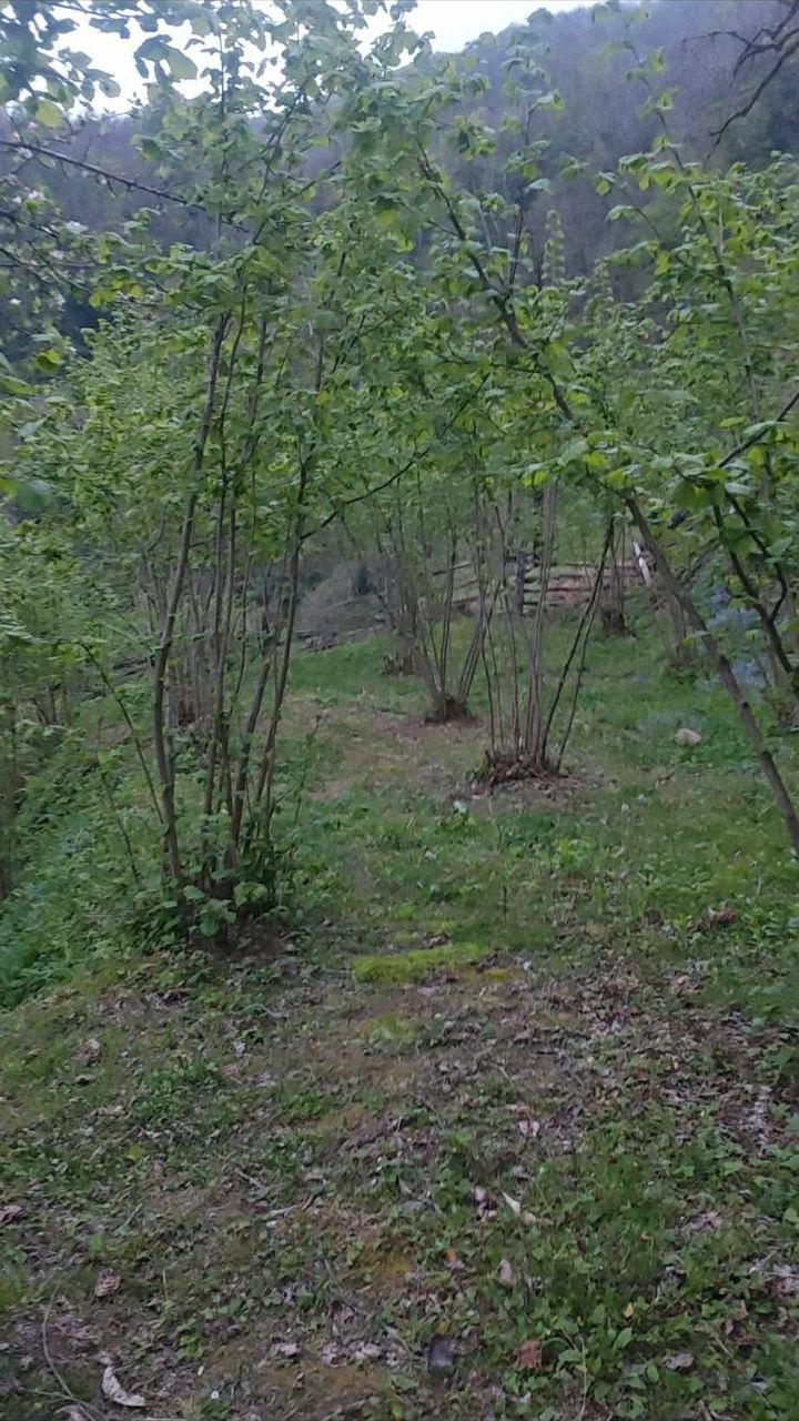 Land For Sale In Batumi, 2,500 M² For $62,500 view 2