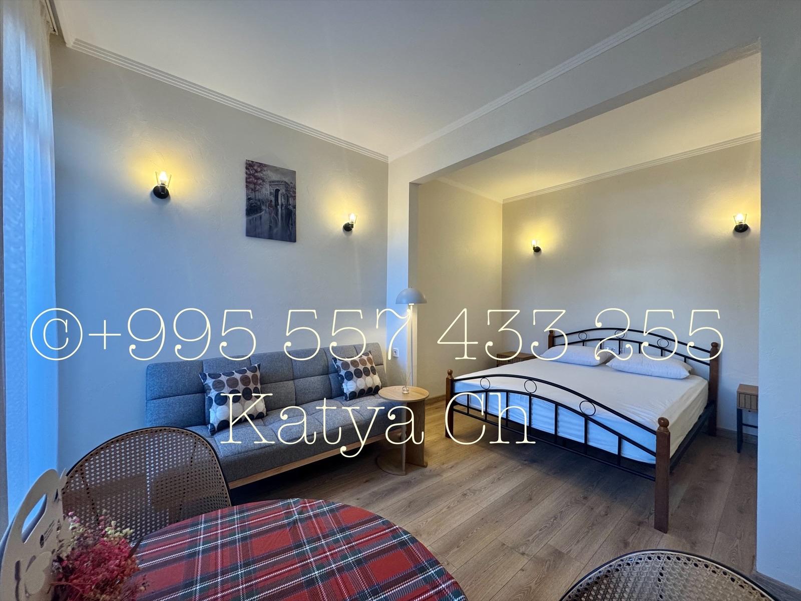 Studio Apartment For Daily Rent In Batumi, Demetre Tavdadebuli St, 11, 37 M² — 140 ₾ Per Day view 4