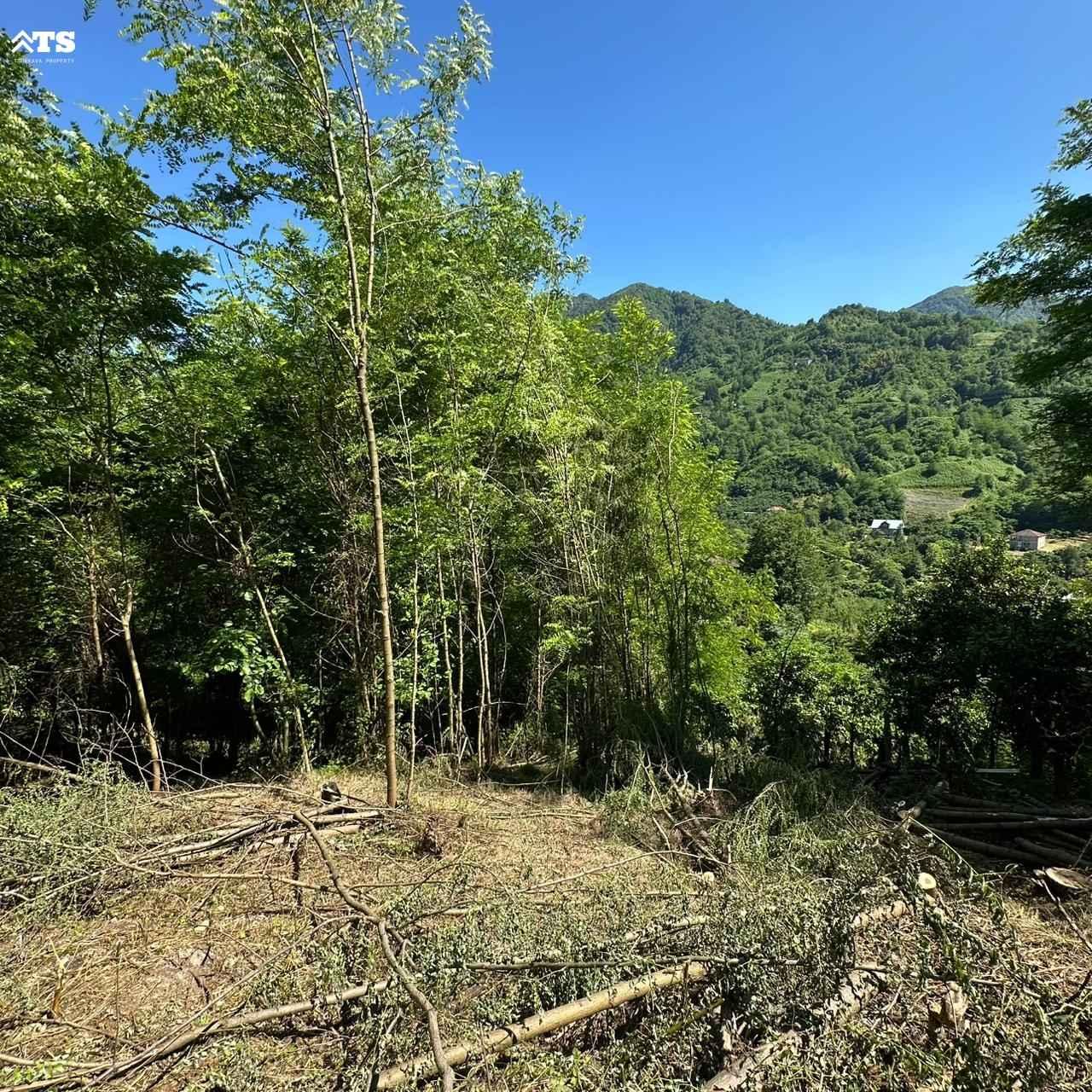 Land For Sale In Batumi, 1,086 M² For $59,730 view 2