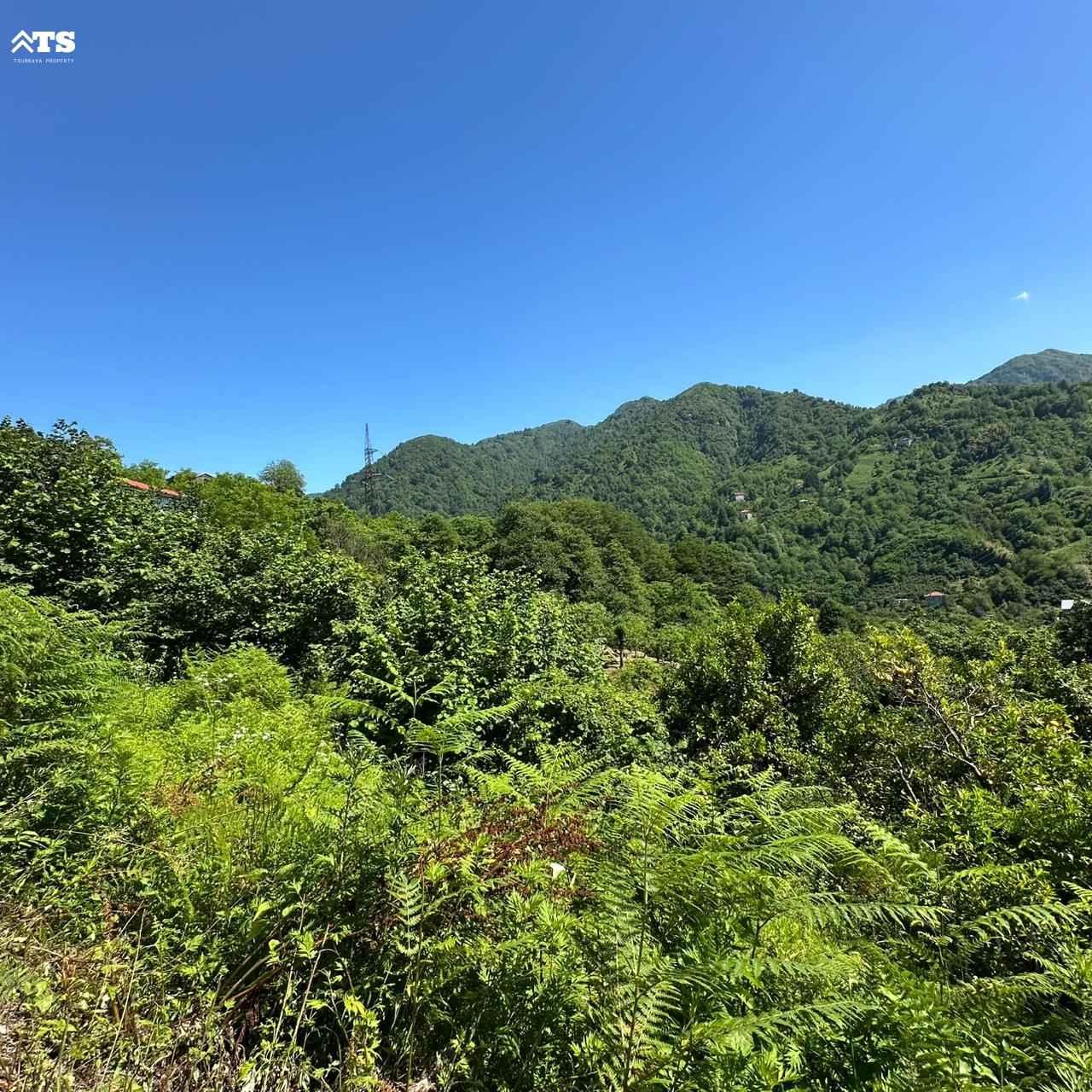 Land For Sale In Batumi, 1,086 M² For $59,730 view 1