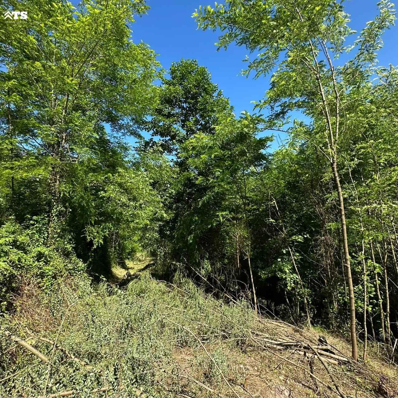Land For Sale In Batumi, 1,086 M² For $59,730 view 3