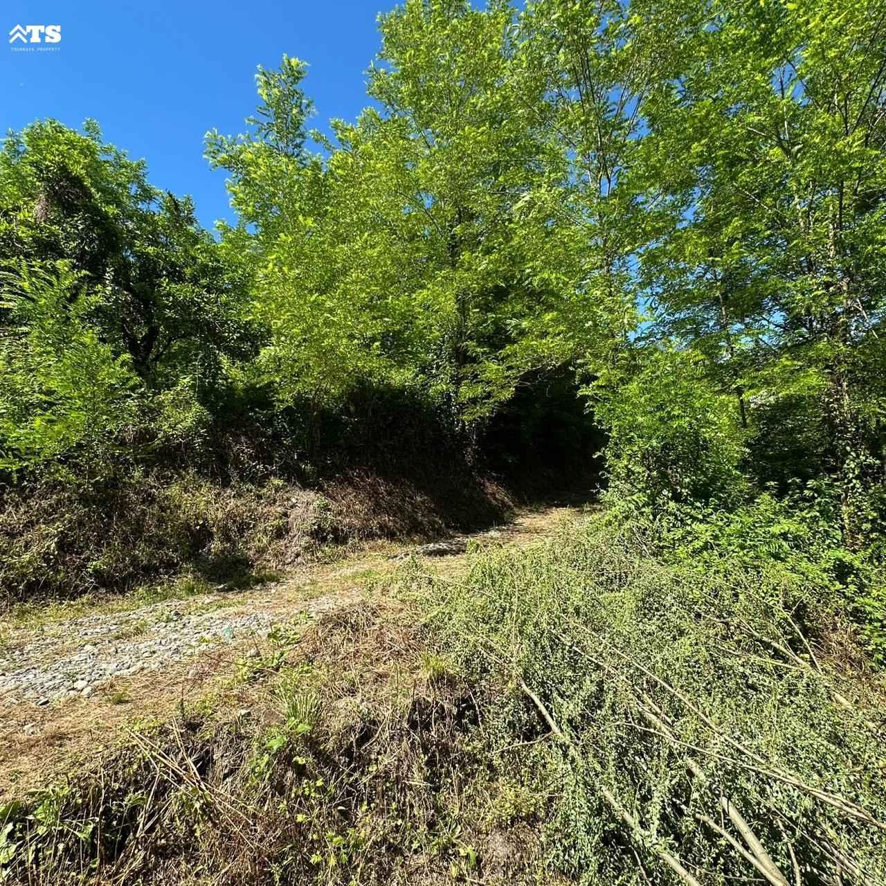Land For Sale In Batumi, 1,086 M² For $59,730 view 7