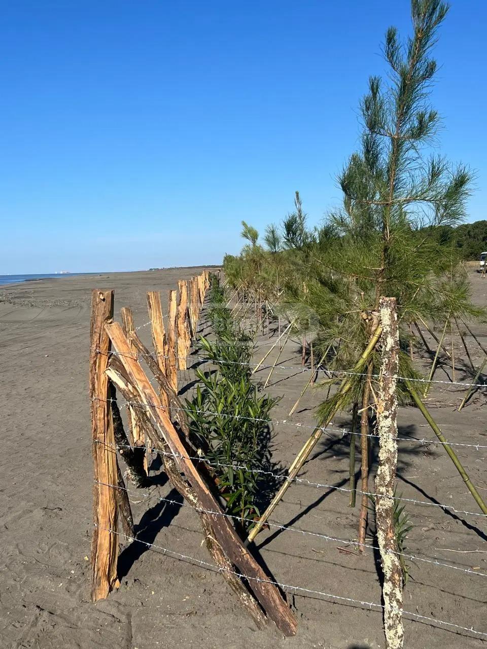 Land For Sale In Batumi, 500 M² For $70,000 view 3