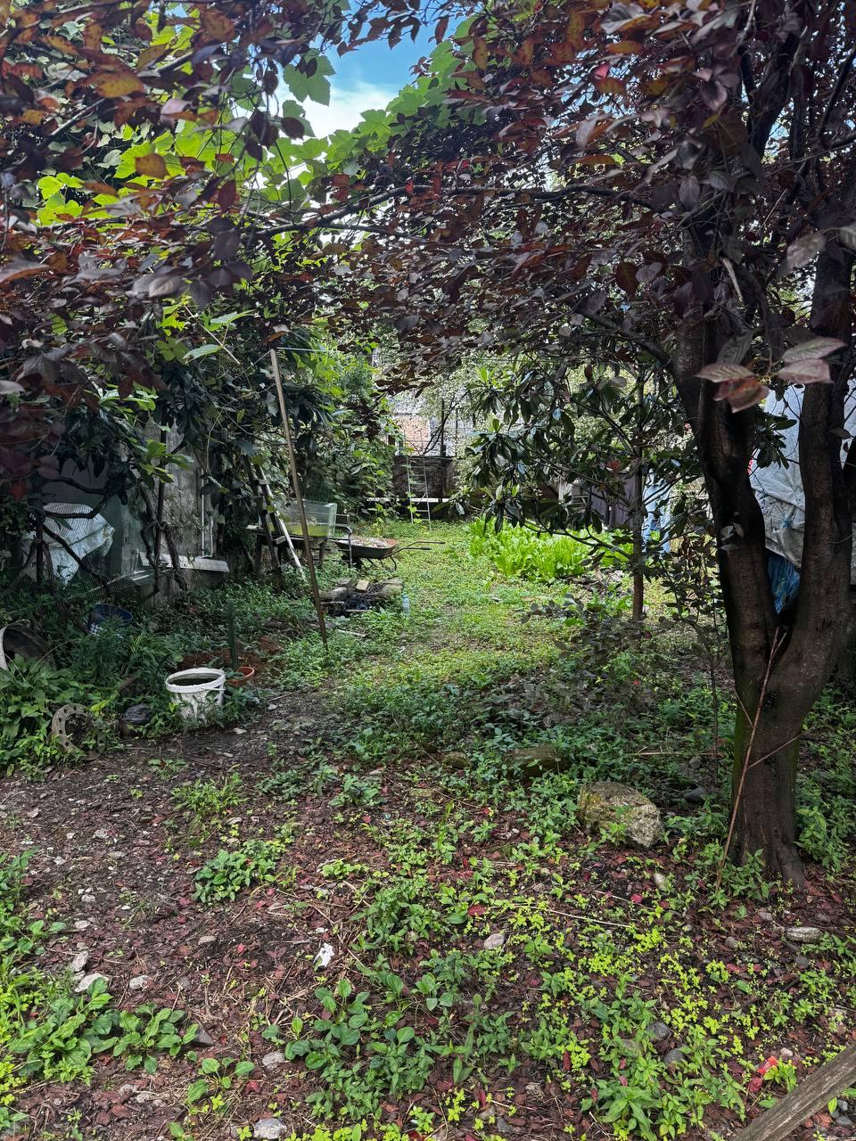 Land For Sale In Batumi, 534 M² For $496,620 view 3