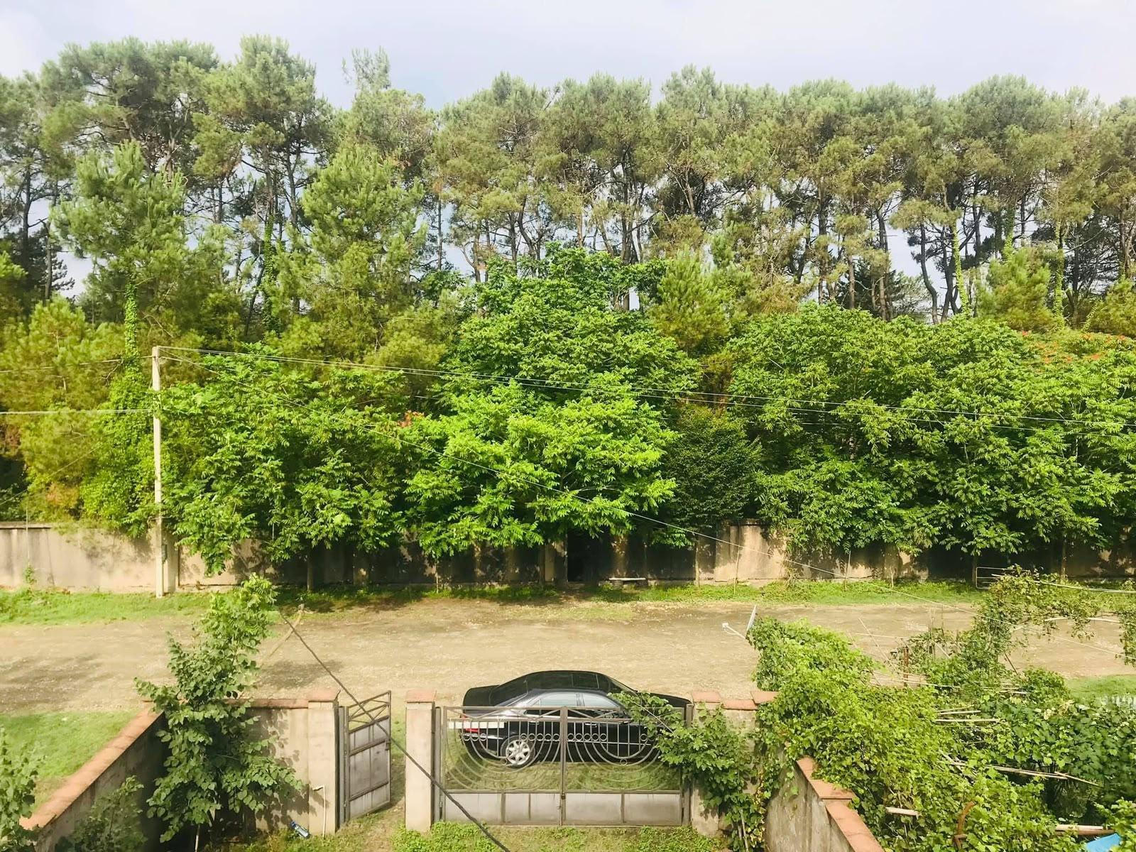 Продажа 5-Room House в In Ureki, Magniteti St view 1