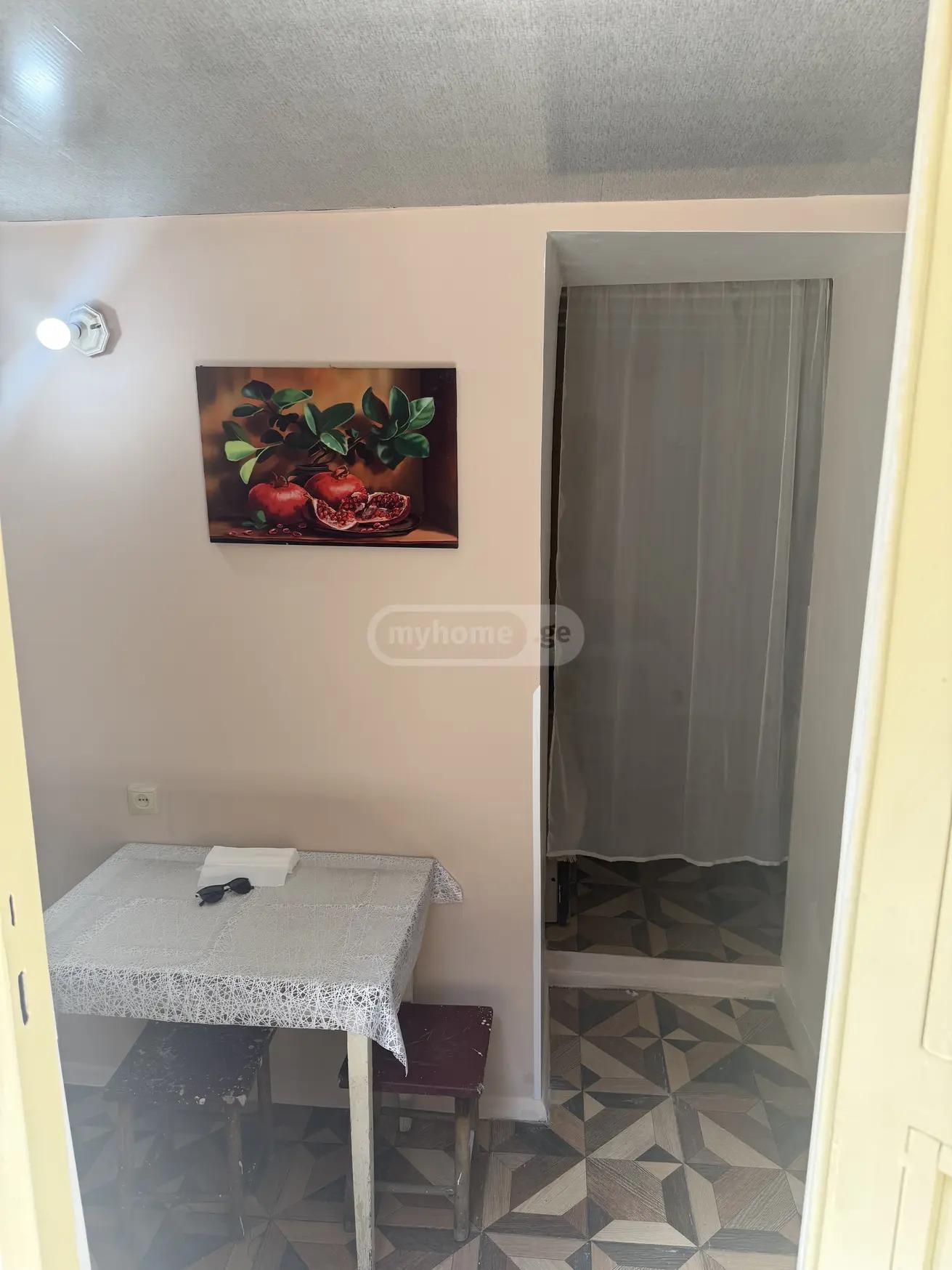 1-Room Apartment For Rent In Tbilisi, Vertskhli St view 8