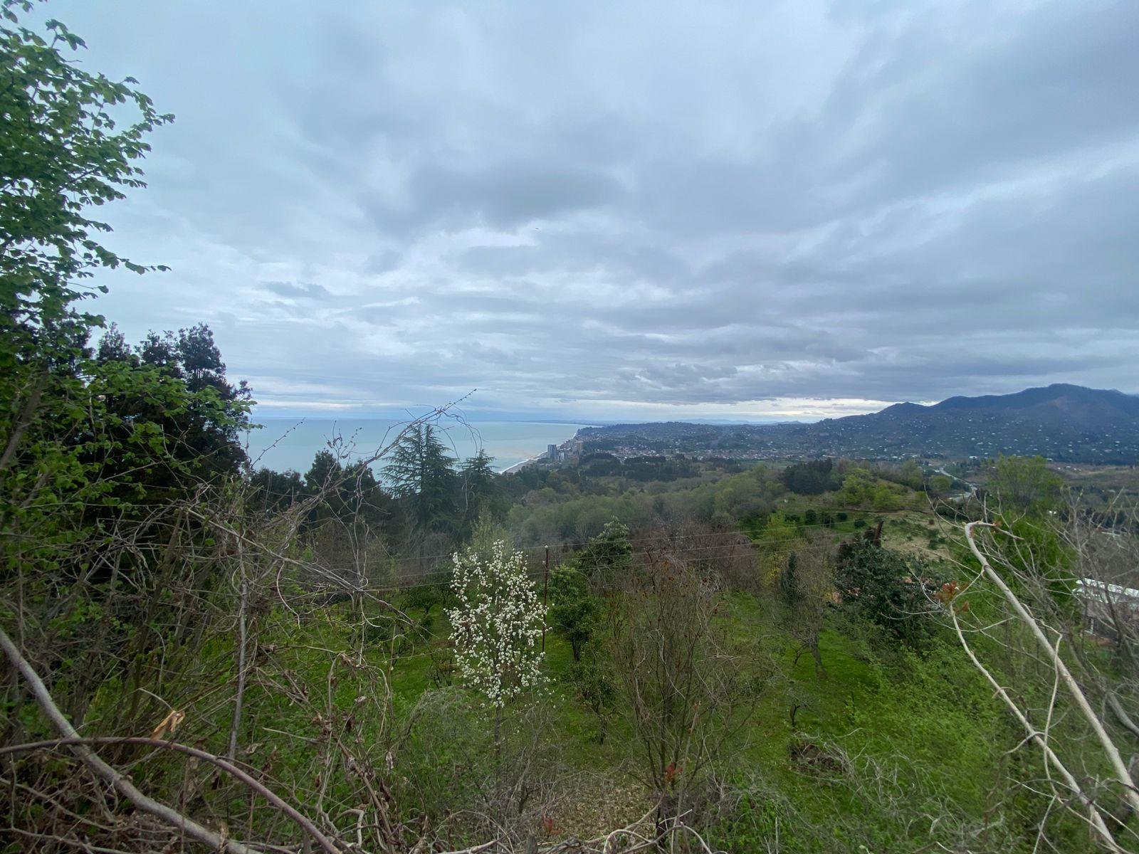 Land For Sale In Batumi, 1,701 M² For $204,000 view 4