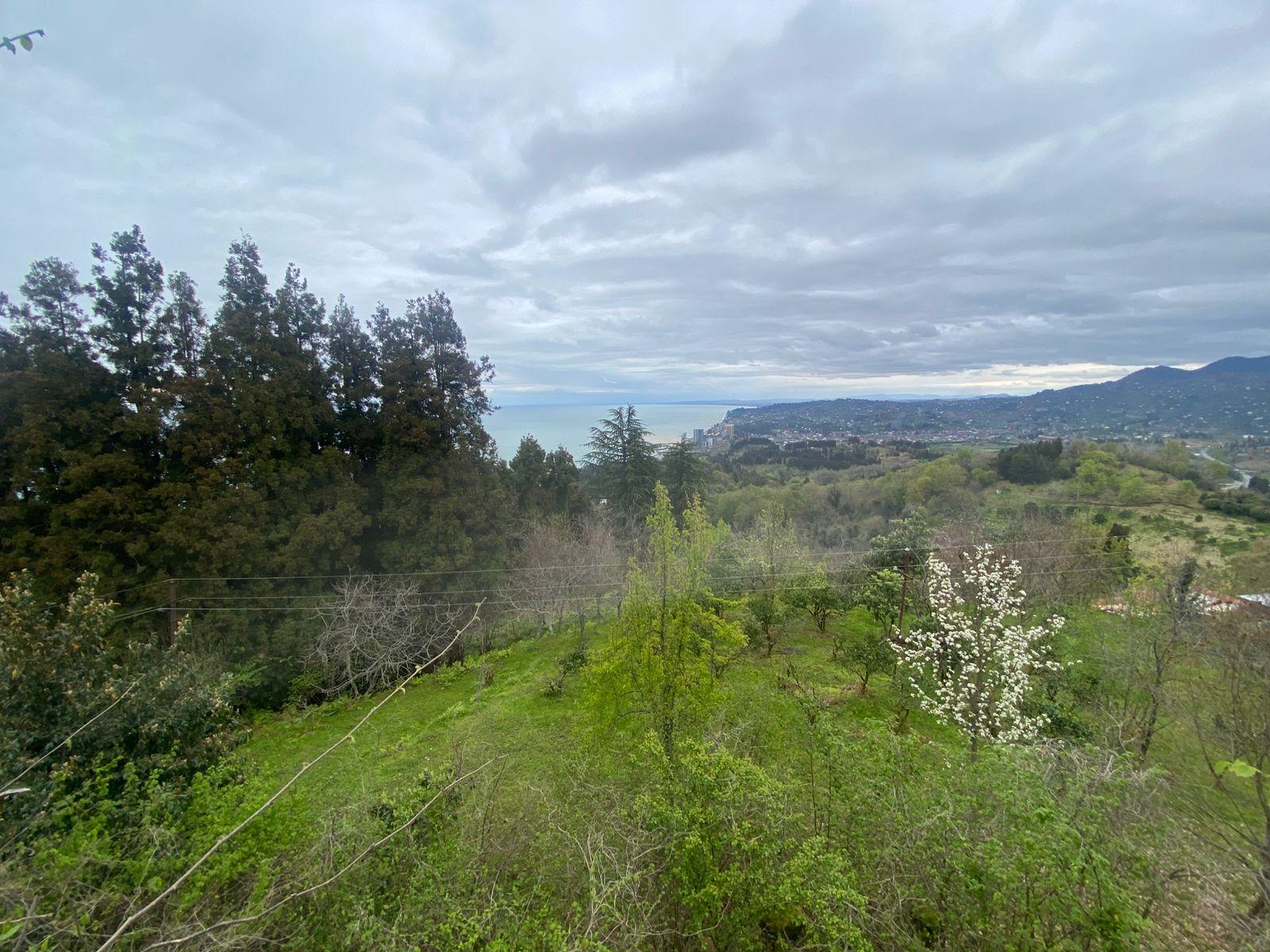 Land For Sale In Batumi, 1,701 M² For $204,000 view 5