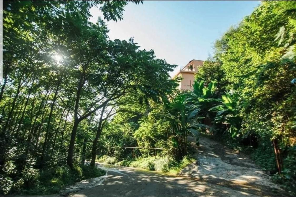 8-Room House For Rent In Batumi, Tbilisi St, 11 view 19