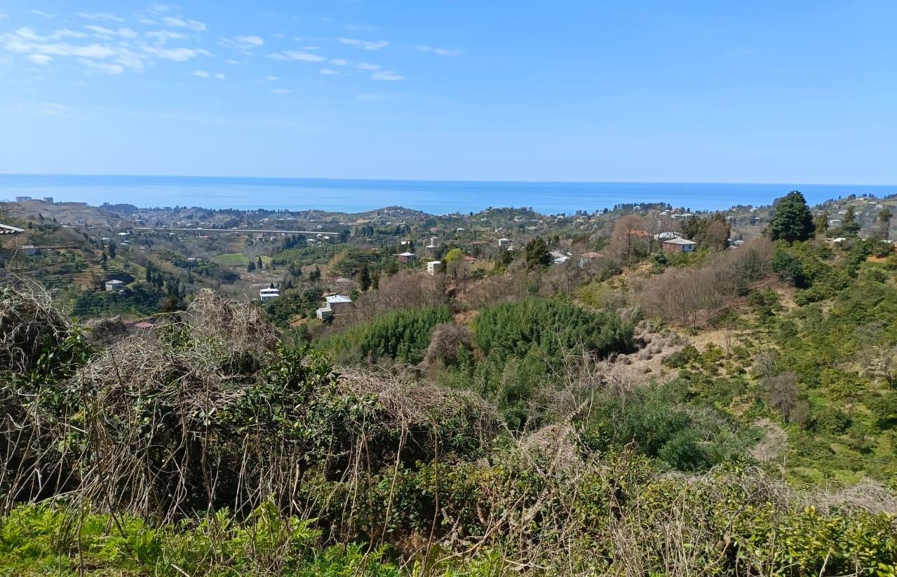 Продажа 5-Room House в In Chakvi, David Aghmashenebli St view 3