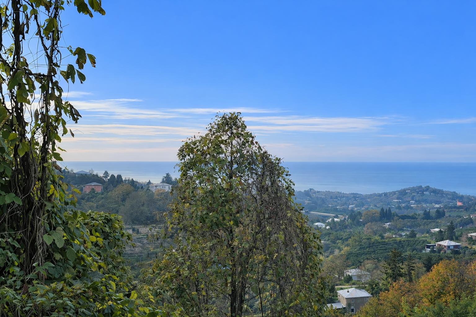 Продажа 5-Room House в In Chakvi, David Aghmashenebli St view 2