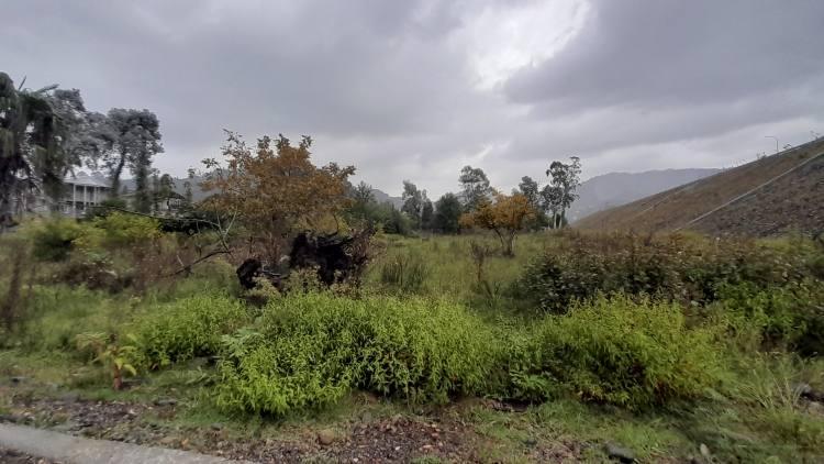 Land For Sale In Batumi, 2,387 M² For $128,000 view 3