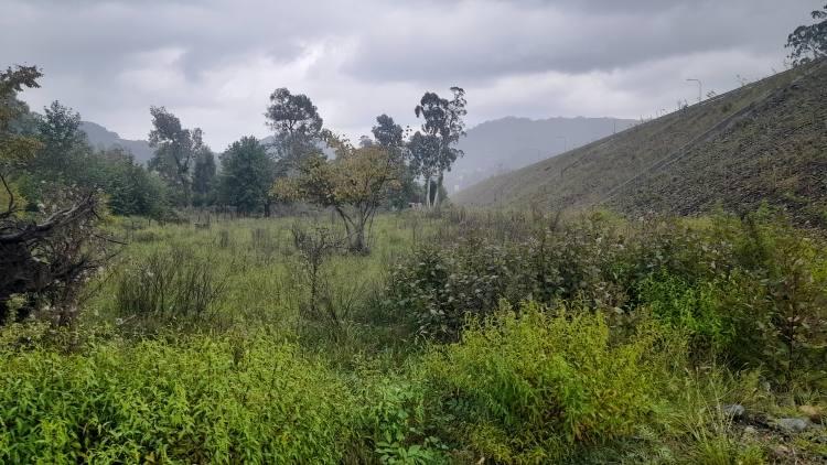 Land For Sale In Batumi, 2,387 M² For $128,000 view 2