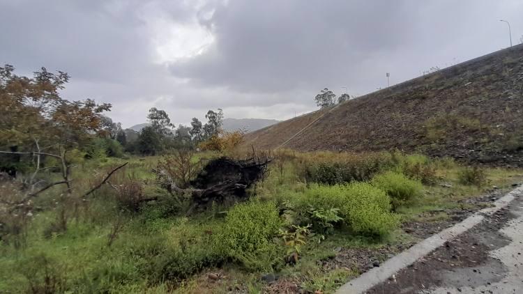 Land For Sale In Batumi, 2,387 M² For $128,000 view 4