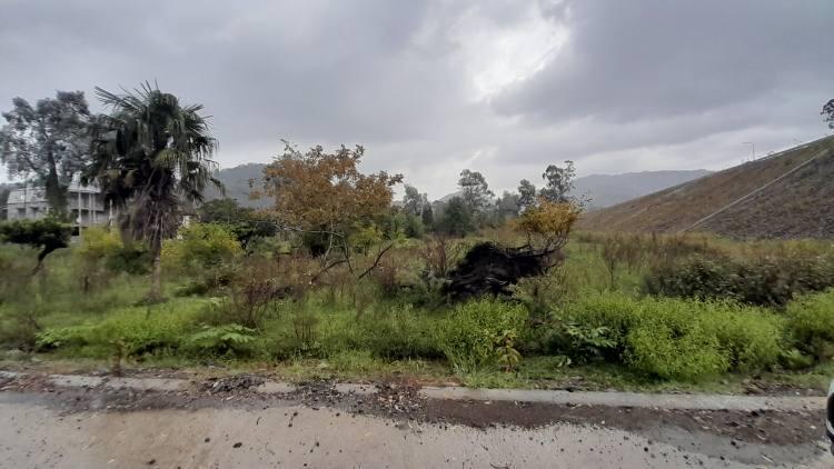 Land For Sale In Batumi, 2,387 M² For $128,000 view 5