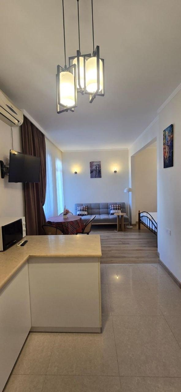 1-Room Apartment For Rent In Batumi, Demetre Tavdadebuli St, 11 view 2