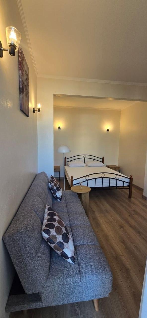 1-Room Apartment For Rent In Batumi, Demetre Tavdadebuli St, 11 view 8
