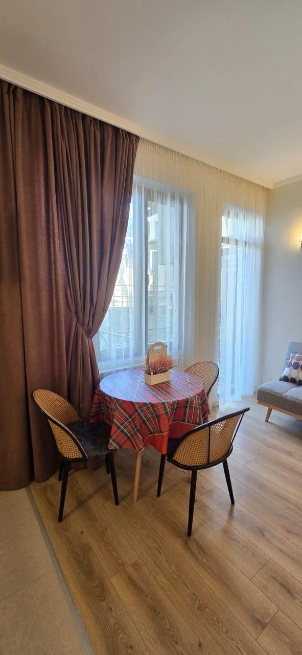 1-Room Apartment For Rent In Batumi, Demetre Tavdadebuli St, 11 view 7