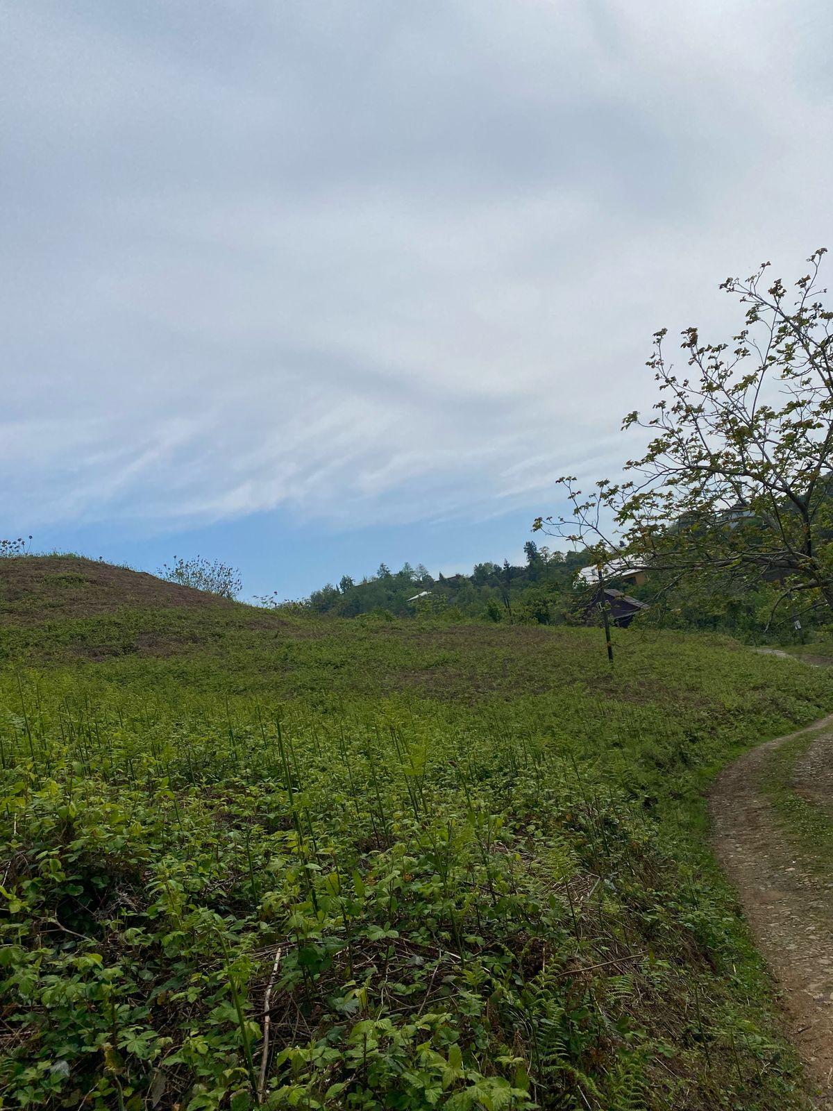 Land For Sale In Chakvi, 2,998 M² For $149,900 view 3