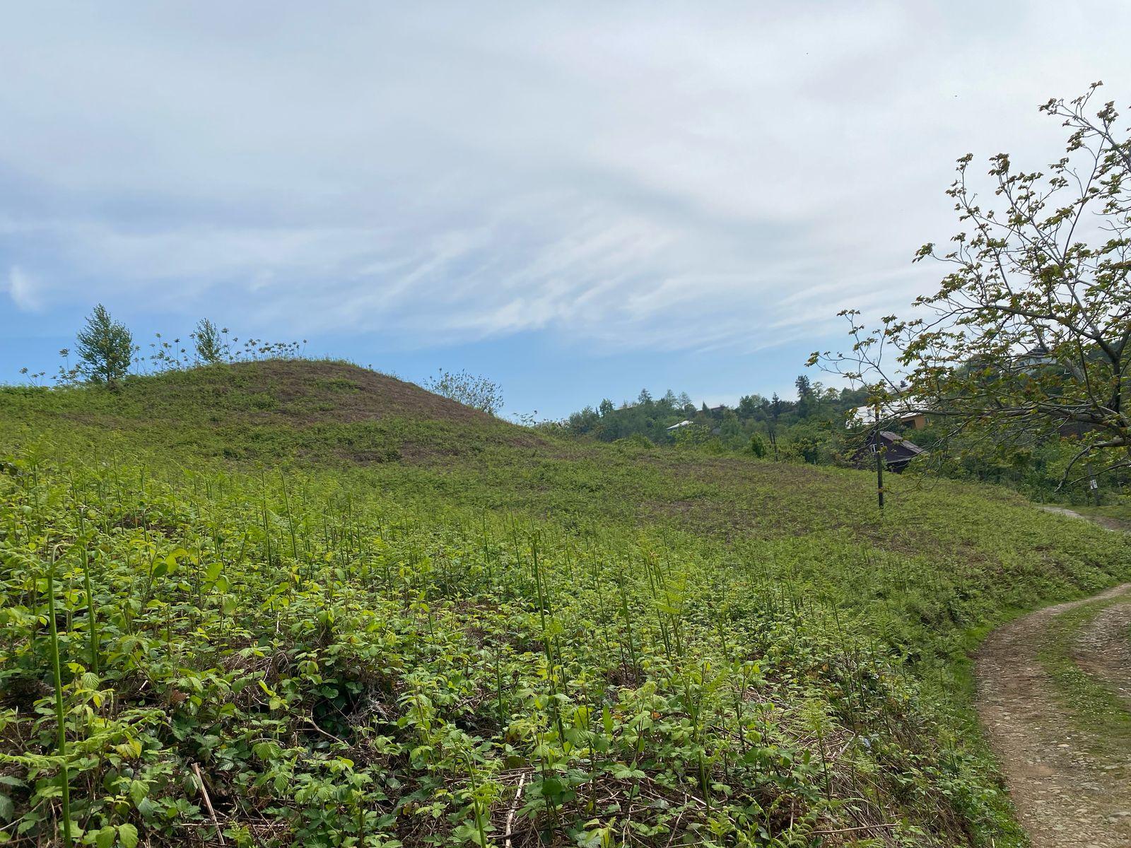 Land For Sale In Chakvi, 2,998 M² For $149,900 view 4