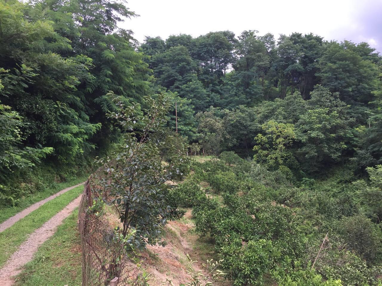 Land For Sale In Batumi, 1,500 M² For $110,250 view 7