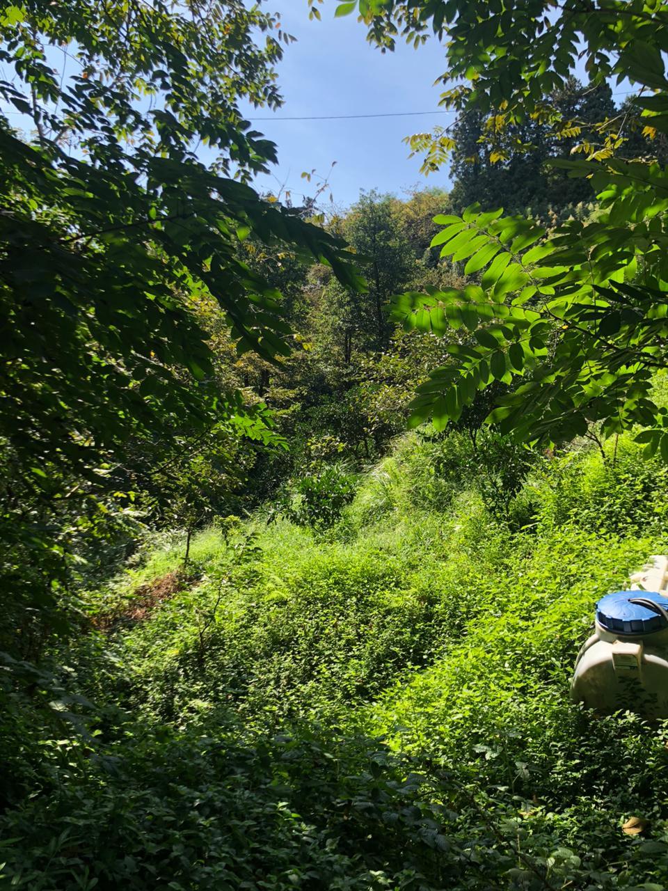 Land For Sale In Batumi, 1,500 M² For $110,250 view 6