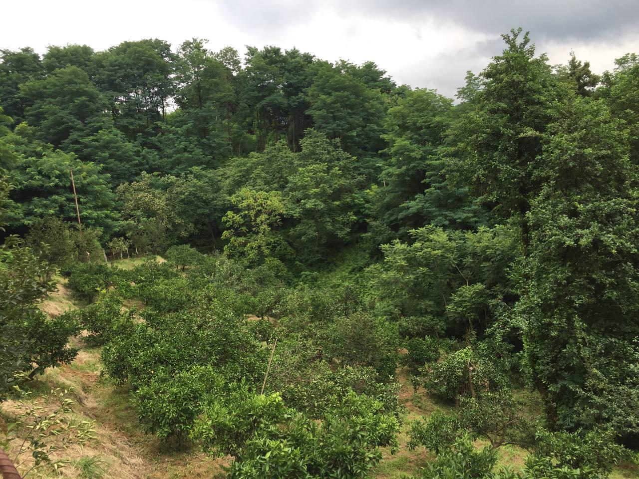 Land For Sale In Batumi, 1,500 M² For $110,250 view 10